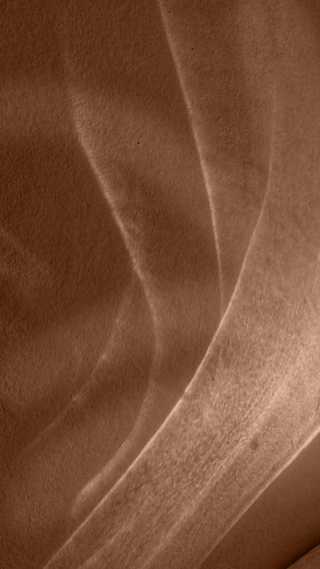 TELORA Background 2